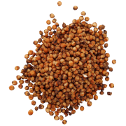 sorgo czerwone#1+.png