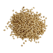 sorgo białe#3+.png