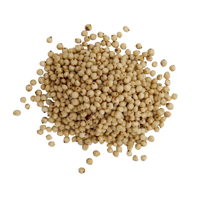 sorgo białe#3+.png