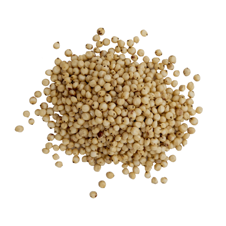 sorgo białe#3+.png