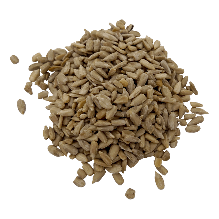 SŁONECZNIK ŁUSKANY#1+.png