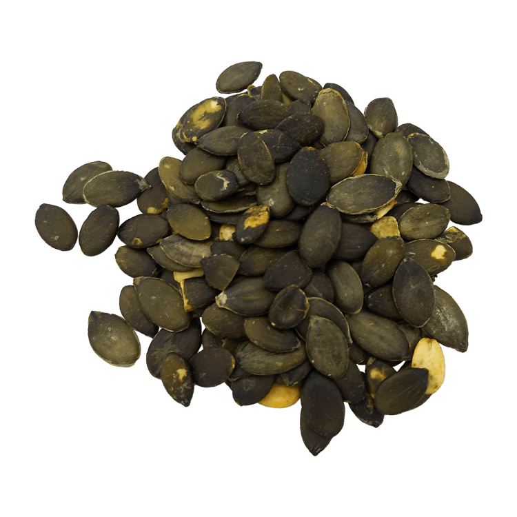 dynia pestka#3+.png