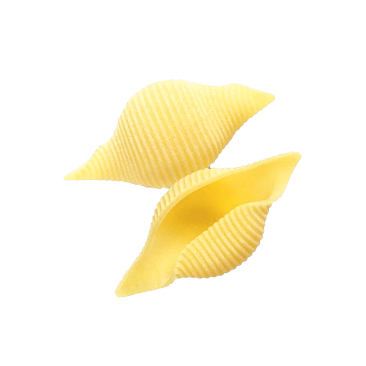 Divella-pasta-di-semola-formati-tipici-regionali-conchiglioni-dettaglio.png