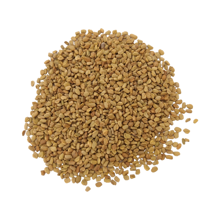 KOZIERADKA ZIARNA-.png