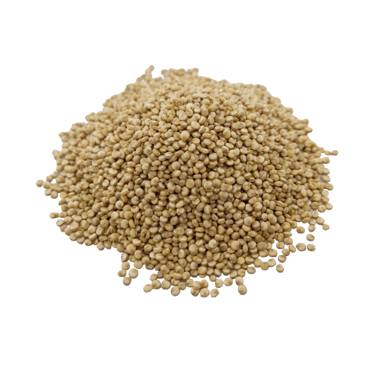 KOMOSA RYŻOWA_BIAŁA-.png