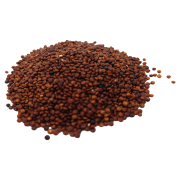 KOMOSA RYŻOWA_CZERWONA-.png