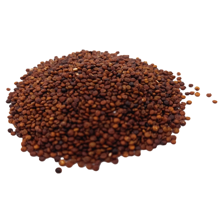 KOMOSA RYŻOWA_CZERWONA-.png