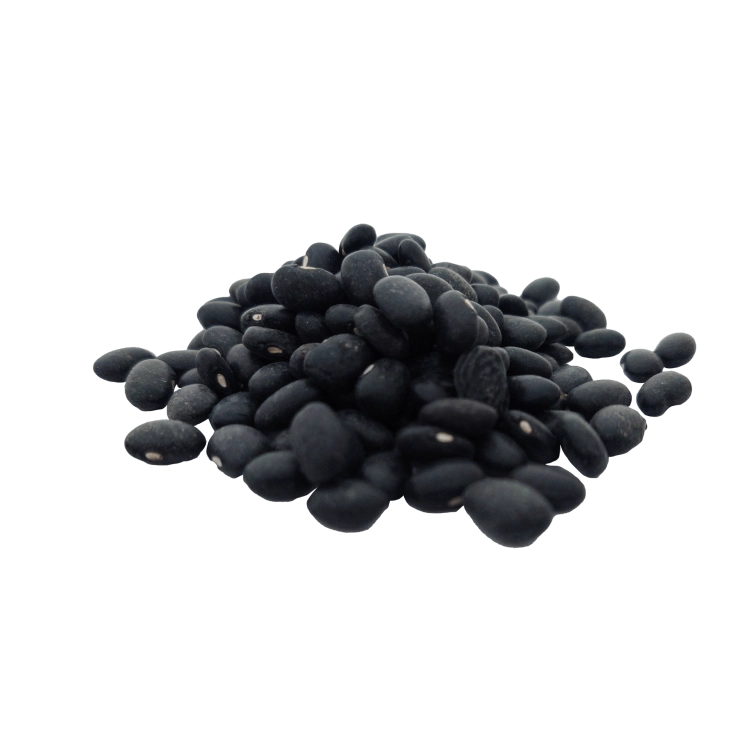 fasola czarna-.png