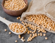 GROCH ŻÓŁTY CAŁY-2.jpg