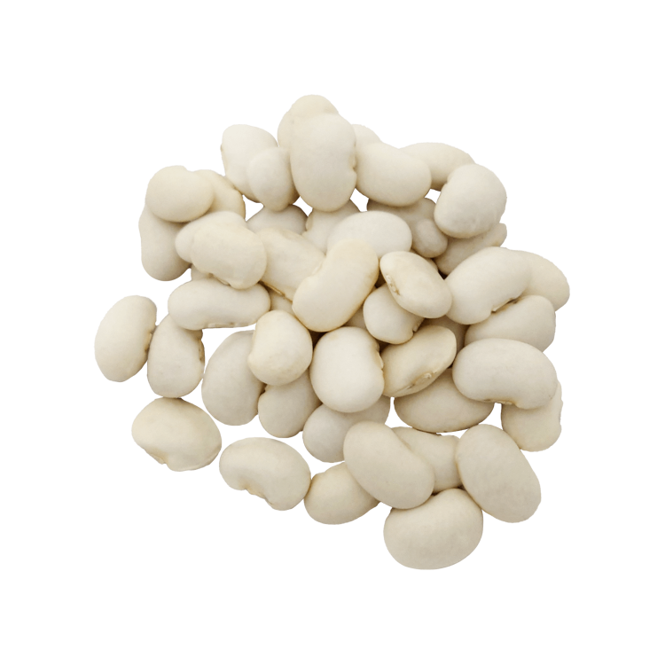 FASOLA JAŚ KARŁOWY-.png