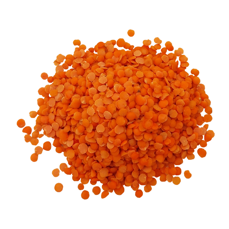 SOCZEWICA CZERWONA-.png