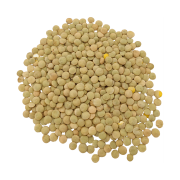 SOCZEWICA ZIELONA-.png