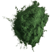 spirulina-.png