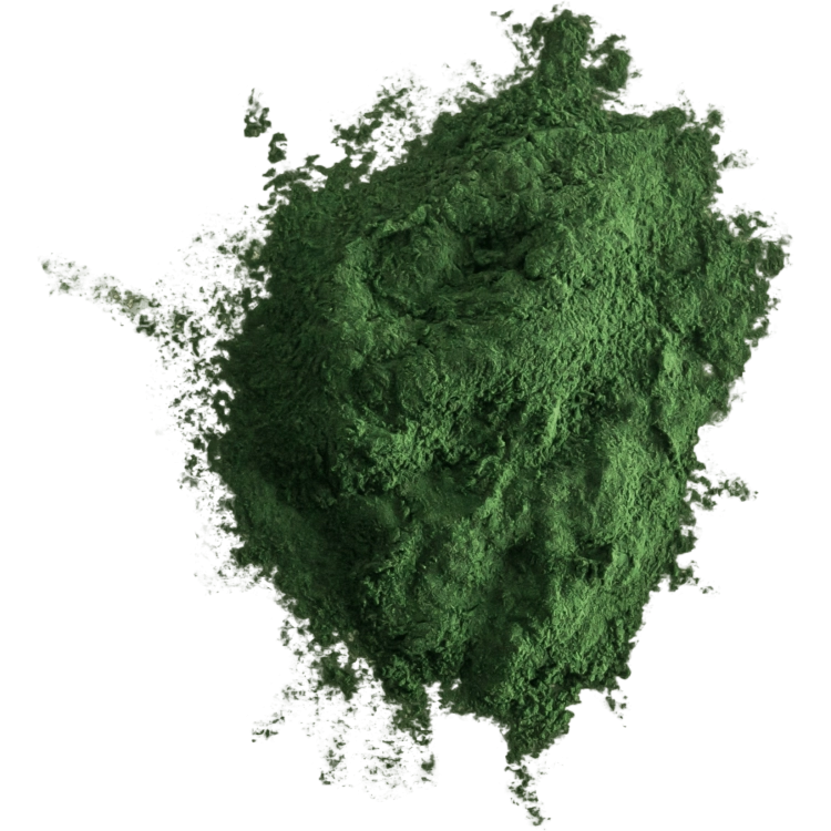 spirulina-.png