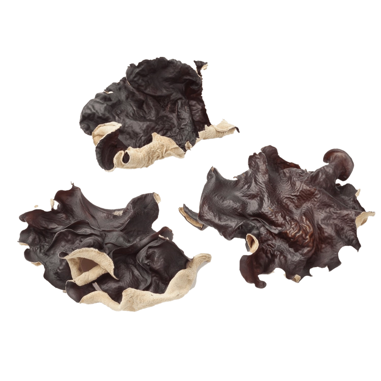 GRZYBY-MUN CAŁE-.png