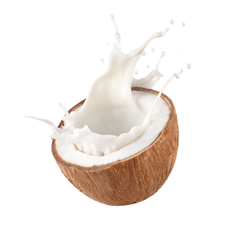 mleko-kokos.png