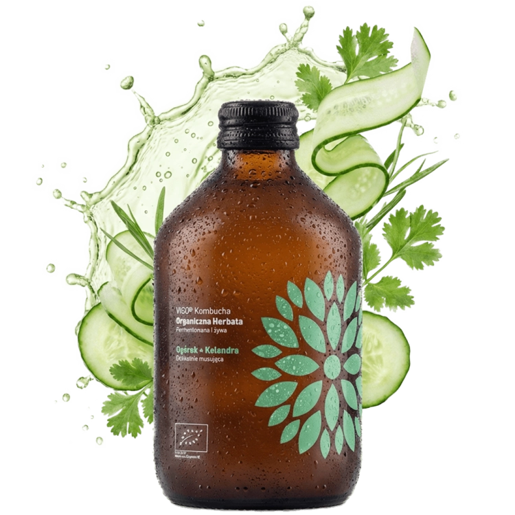 kombucha-ogórek-kolendra-vigo++.png