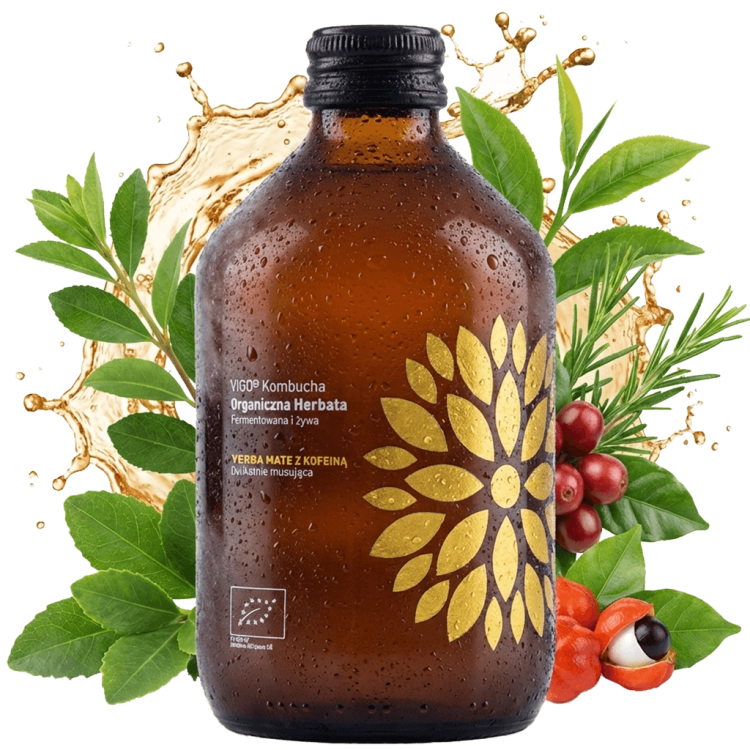 kombucha-yerba-mate-kofeina-vigo++.png