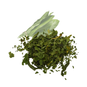 czosnek niedźwiedzi-.png