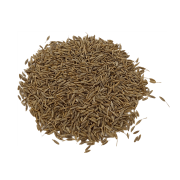 KMIN RZYMSKI ZIARNA-.png