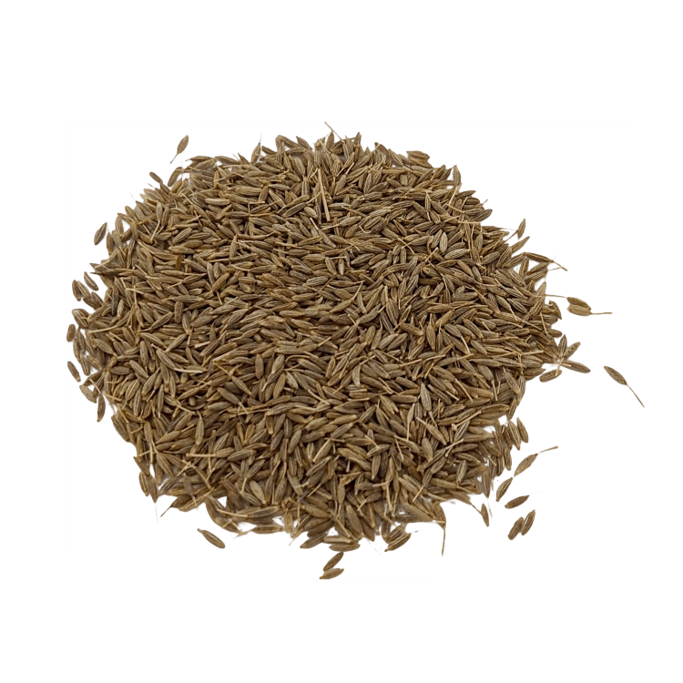 KMIN RZYMSKI ZIARNA-.png