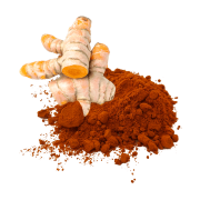 kurkuma-.png