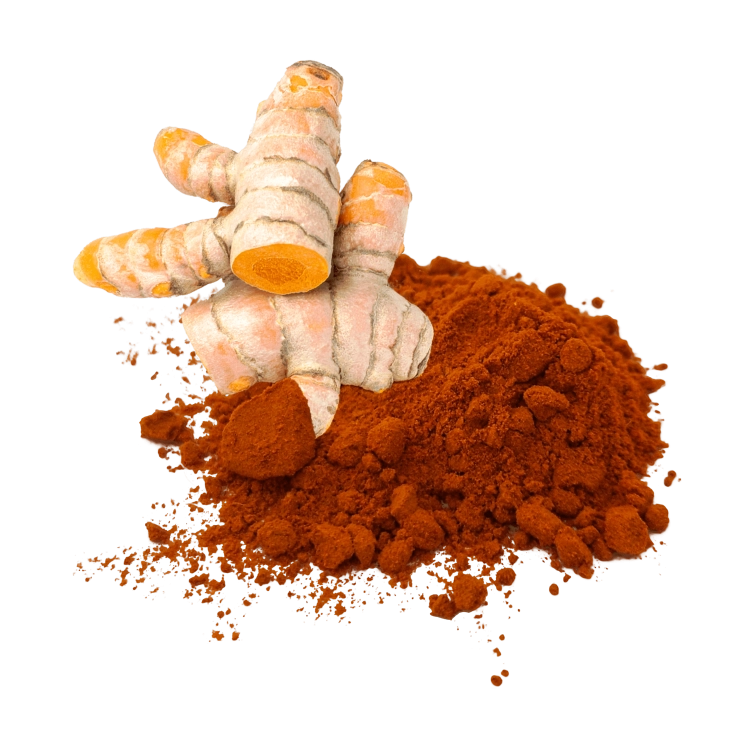 kurkuma-.png