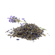 SUSZONA LAWENDA-.png