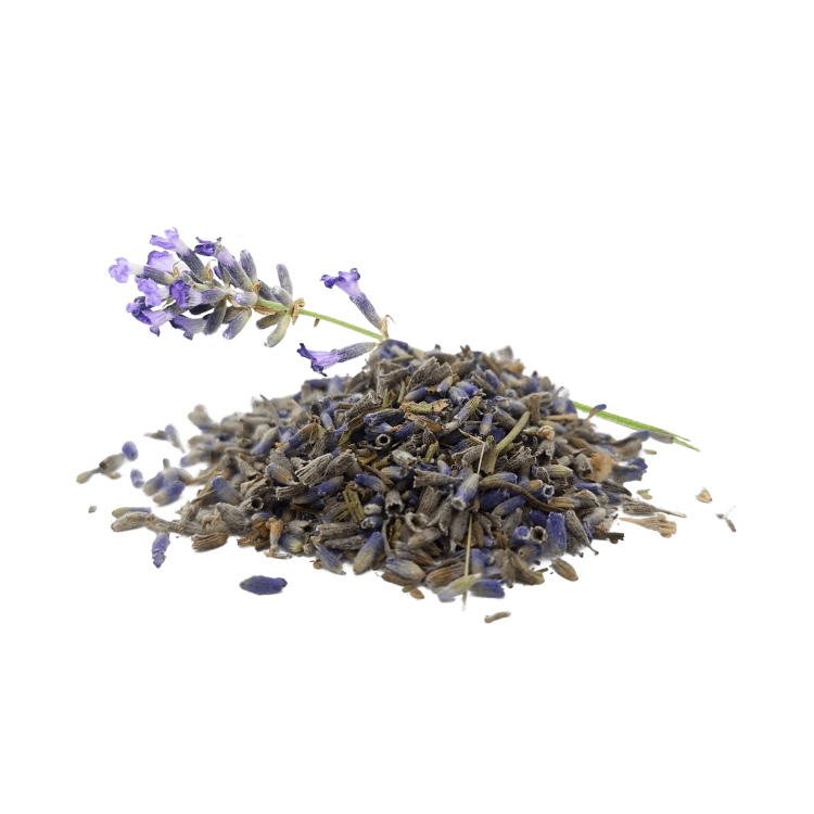 SUSZONA LAWENDA-.png