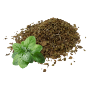 oregano-.png