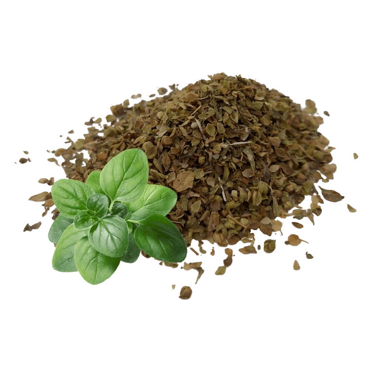 oregano-.png