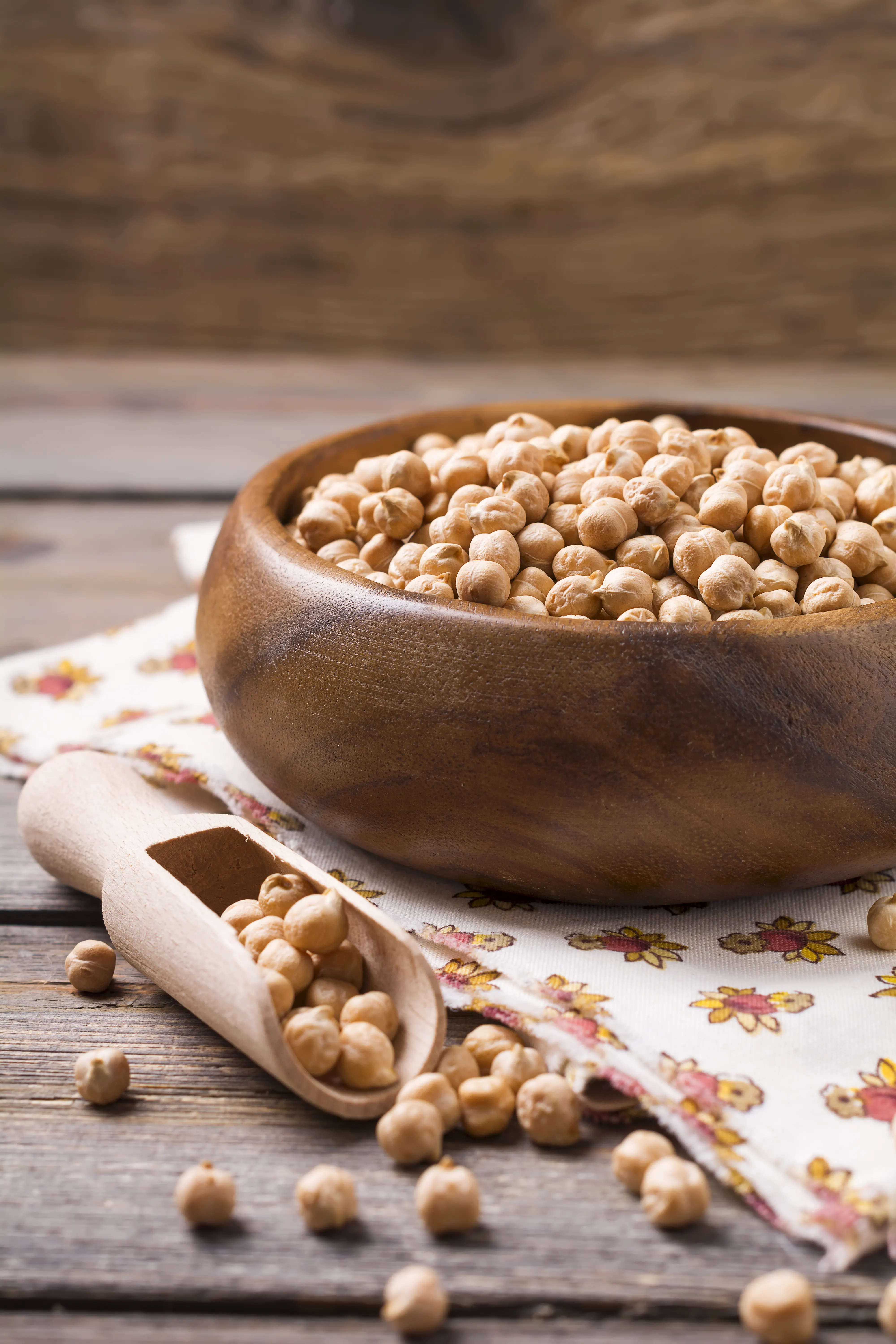 Ciecierzyca – właściwości, wartości odżywcze i zastosowanie w diecie